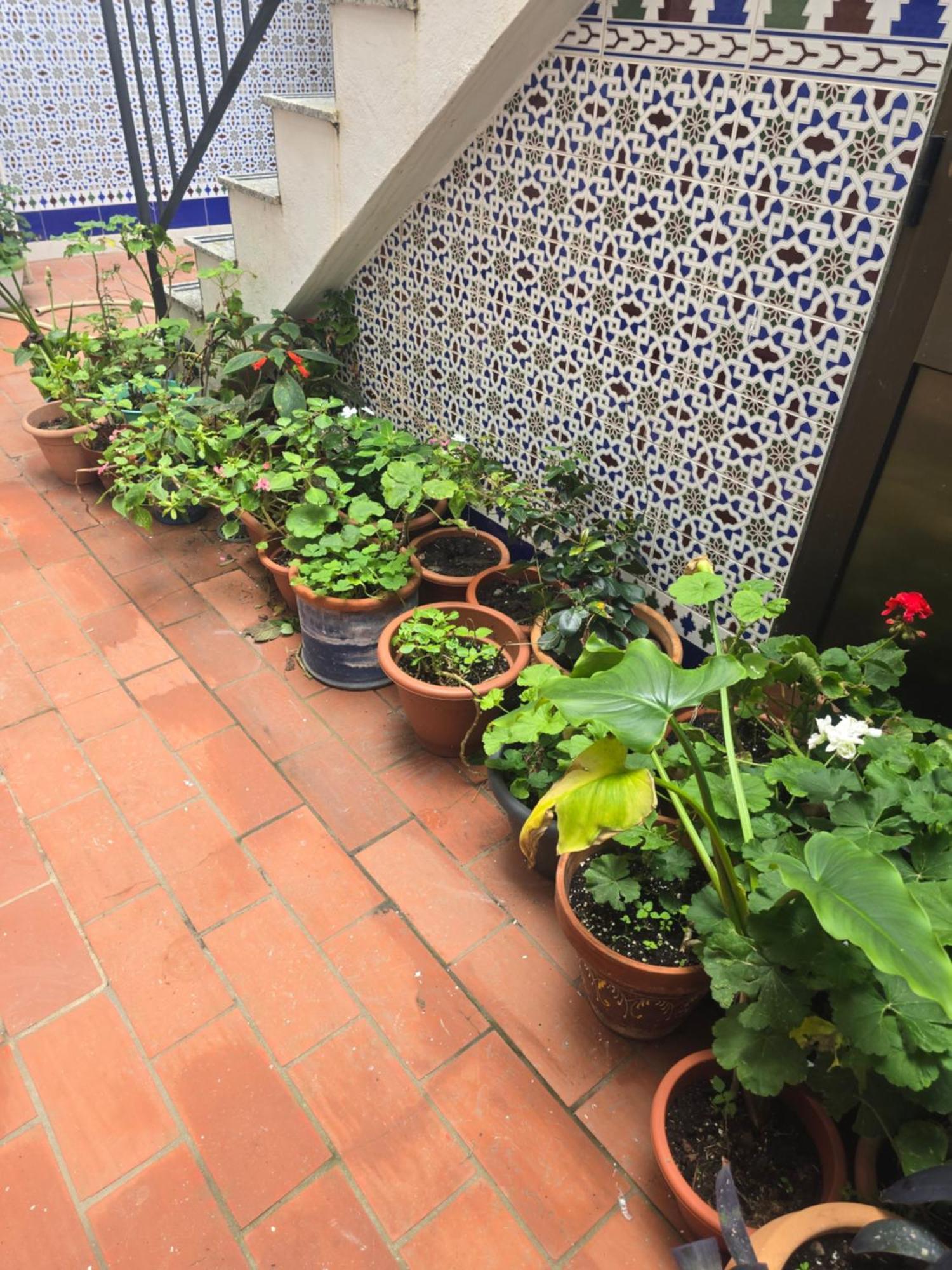 La Tortuga Lodging Rooms 타리파 외부 사진